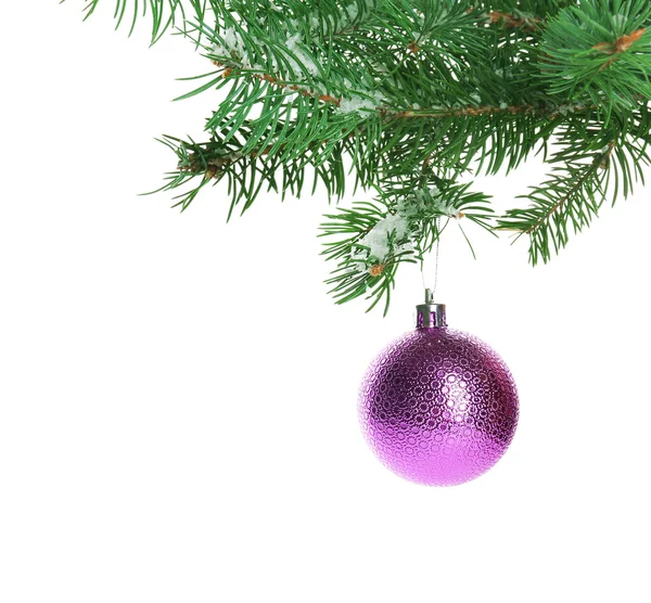 Christmas bauble on a fir branch, isolated on white — Stock Photo, Image