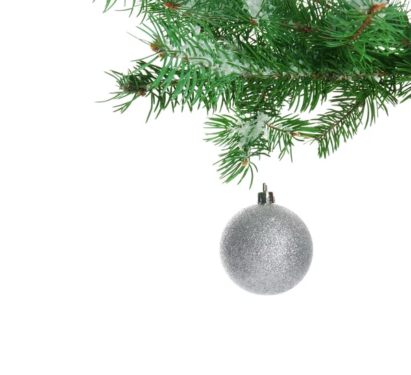 Christmas grey bauble on a fir branch, isolated on white — Stock Photo, Image