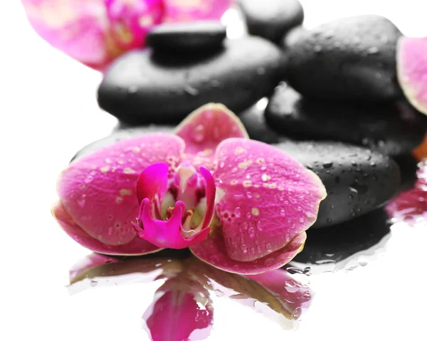 Piedras de spa negras y orquídeas aisladas en blanco — Foto de Stock