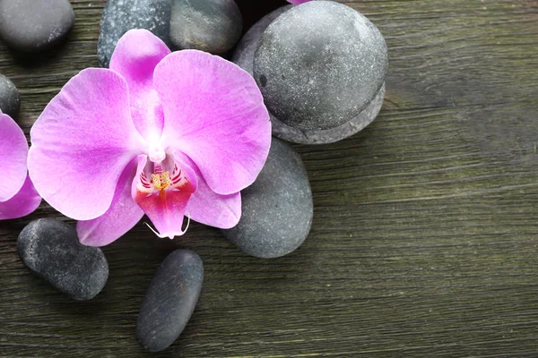 Spa stones and orchids — Stock Photo, Image