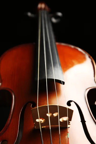 Violon sur fond sombre — Photo