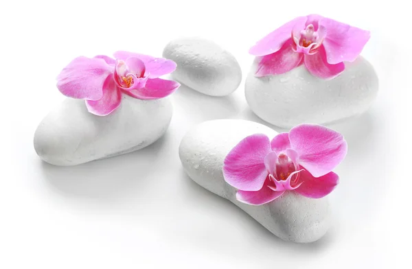 White spa stones and orchids Royalty Free Stock Images