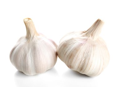 Sarımsak beyaza izole edilmiş