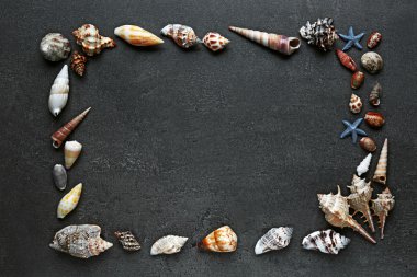 Ahşap karede deniz kabuğu 
