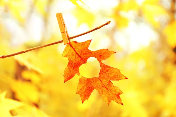 Autumn leaf with heart — Stock Photo, Image