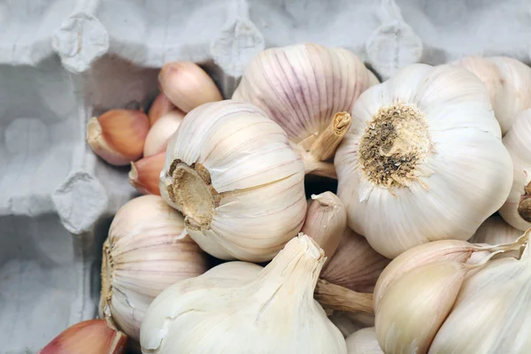 White garlic background — Stock Photo, Image