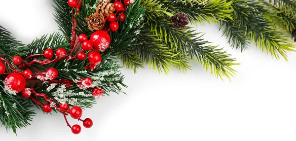 Rama de árbol de Navidad con bayas rojas sobre fondo blanco —  Fotos de Stock