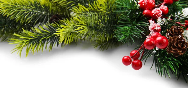 Kerstboom tak met rode bessen op witte achtergrond — Stockfoto