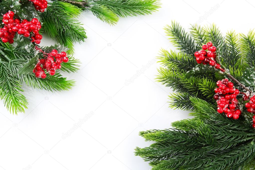 Christmas tree branch with red berries on white background