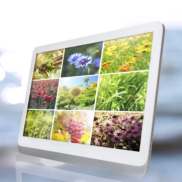 Tablet Pc met afbeeldingen van natuur-objecten — Stockfoto