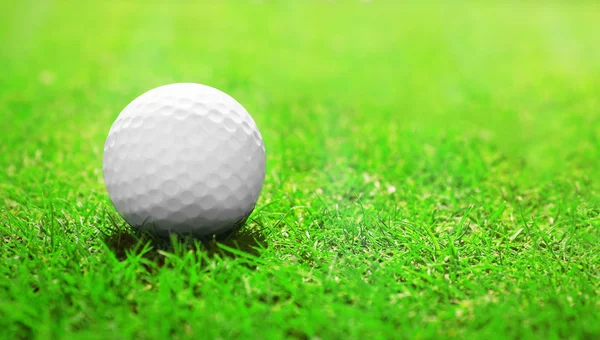 Pallina da golf sull'erba — Foto Stock