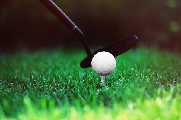 Çimlerin üzerinde golf topu — Stok fotoğraf