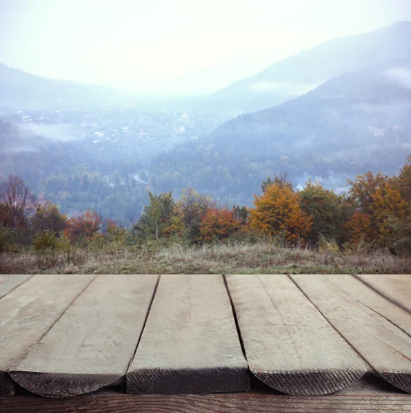 Fundo natureza com piso de madeira — Fotografia de Stock