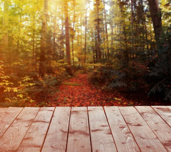 Fondo de naturaleza con suelo de madera — Foto de Stock