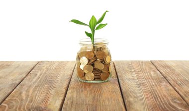 Para ve büyüyen Fideler