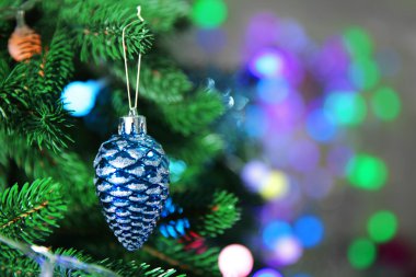 Noel biblo bir köknar ağacı üzerinde