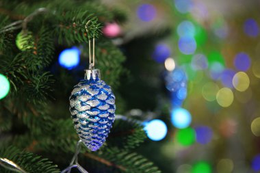 Noel biblo bir köknar ağacı üzerinde