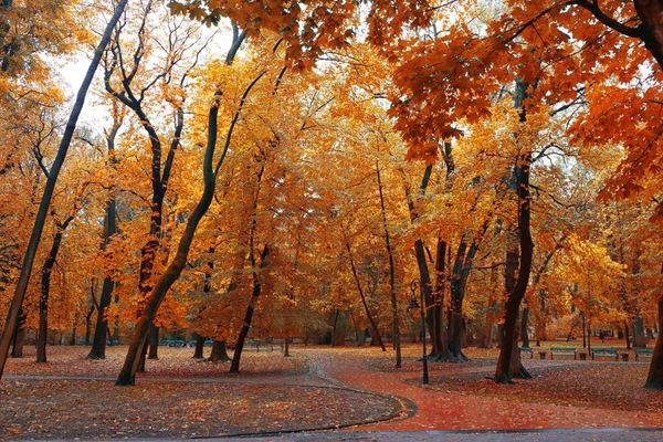 Park v zlatý podzim — Stock fotografie
