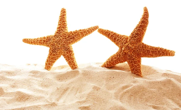 Stora vackra starfishes — Stockfoto