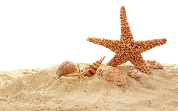 Estrella de mar y conchas sobre arena —  Fotos de Stock