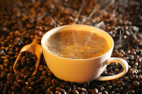 Egy csésze kávé és kávébab — Stock Fotó