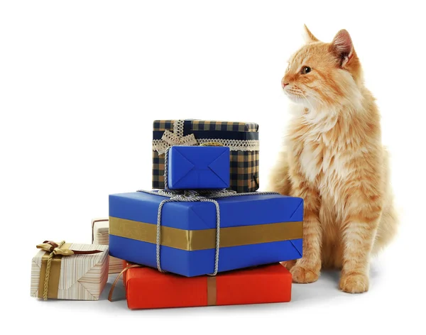 Gato rojo con cajas de regalo coloridas —  Fotos de Stock