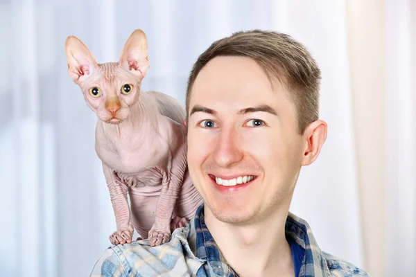 Cat sphynx sitting on man shoulders