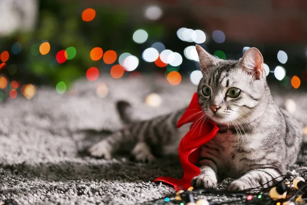 Beautiful cat near Christmas tree with decoration — Stock Photo, Image