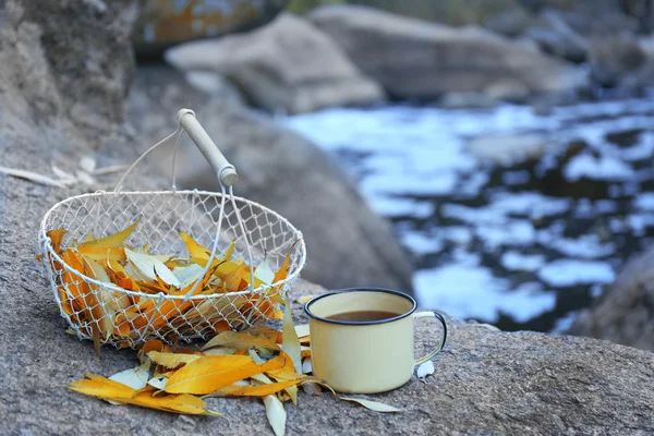 Panier avec des feuilles dorées et tasse sur la roche dans la forêt, gros plan — Photo