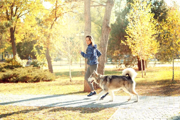 公園で犬とジョギングの女性 — ストック写真