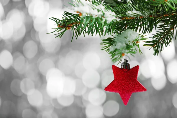 Christmas toy on a fir branch and glitter background — Stock Photo, Image