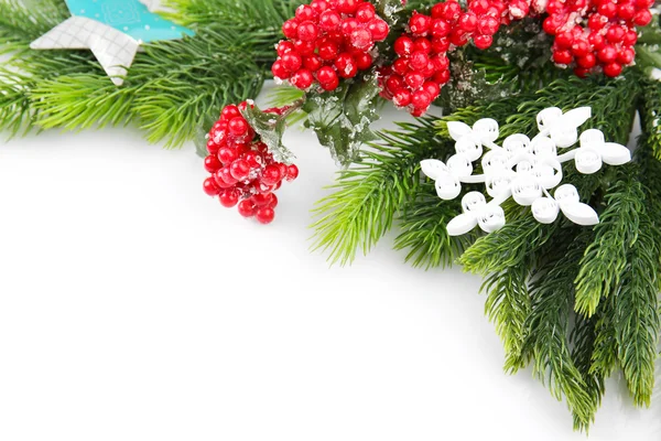Zdobené vánoční strom větev s červenými plody na bílém pozadí — Stock fotografie