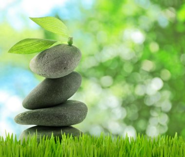 Spa taş yeşil çimenlerin üzerinde