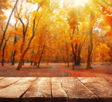 ahşap zemin ile doğa arka plan