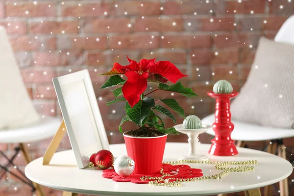 Fundo de Natal com poinsettia — Fotografia de Stock