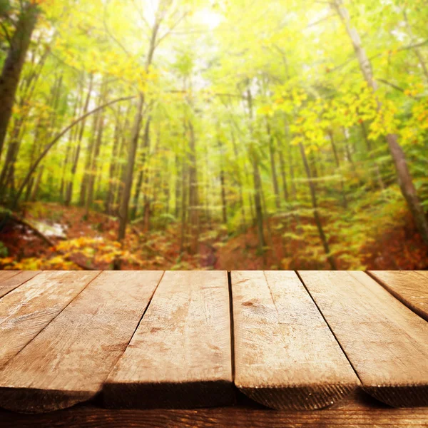 Natur bakgrund med trägolv — Stockfoto