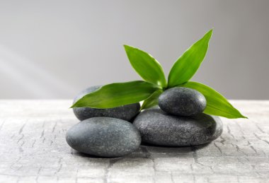 Çakıl yaprak gri arka plan karşı masada bileşimi