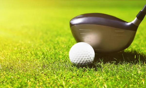 Clube de golfe e bola em uma grama verde — Fotografia de Stock