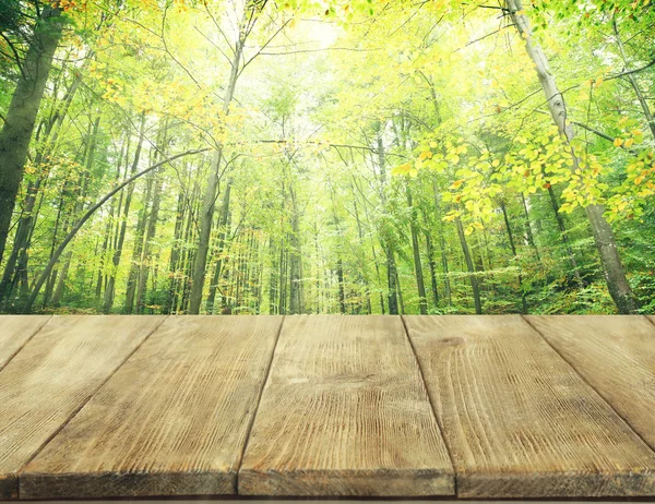 Vacker natur bakgrund — Stockfoto