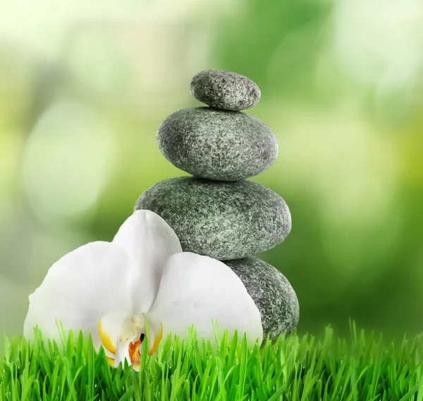 Wellness-Steine auf grünem Gras — Stockfoto