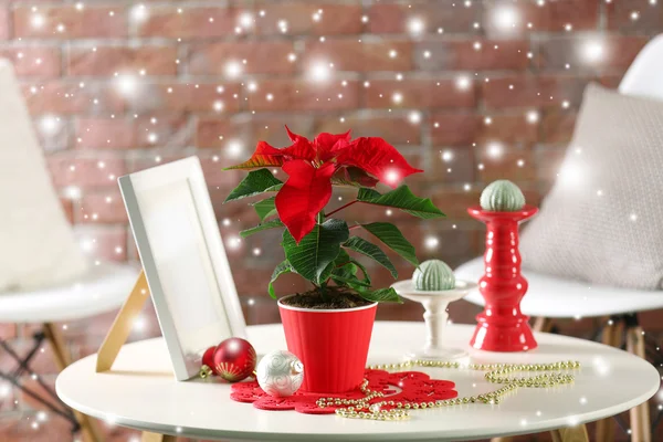圣诞背景与一品红 — 图库照片