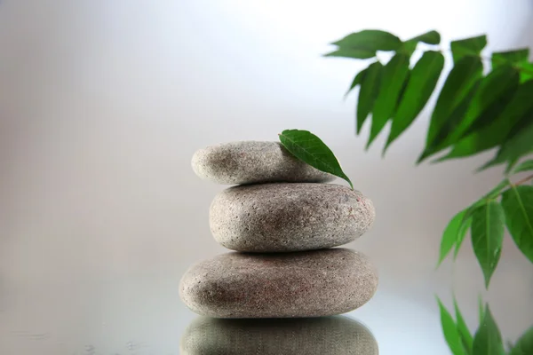 Piedras de spa y rama verde sobre fondo gris —  Fotos de Stock