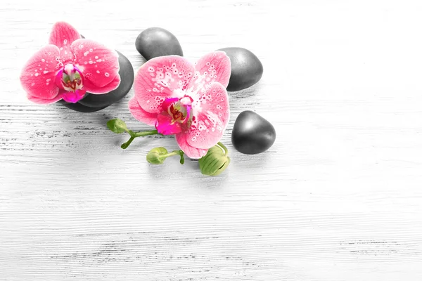 Mooie compositie van orchid en kiezels op witte houten achtergrond, kopie ruimte — Stockfoto