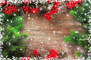 Noel köknar ağacı dalları