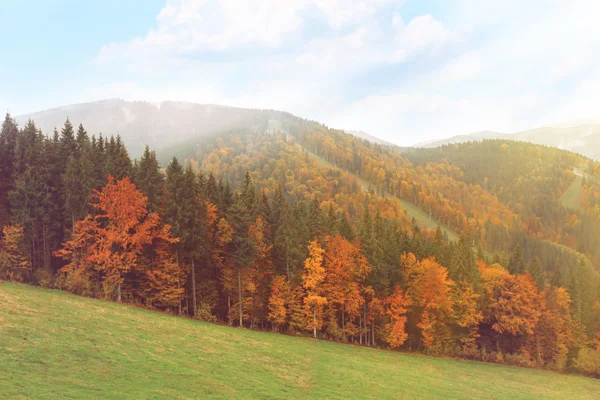 Góry w jesieni — Zdjęcie stockowe