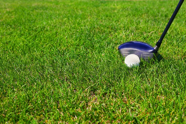 Clube de golfe e bola em uma grama verde — Fotografia de Stock