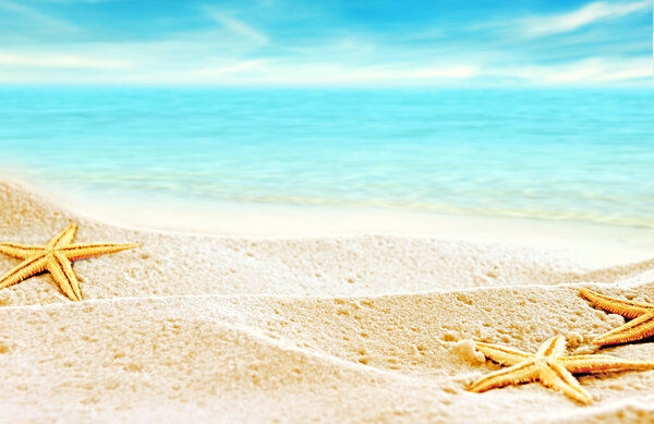 Морской пляж фон
