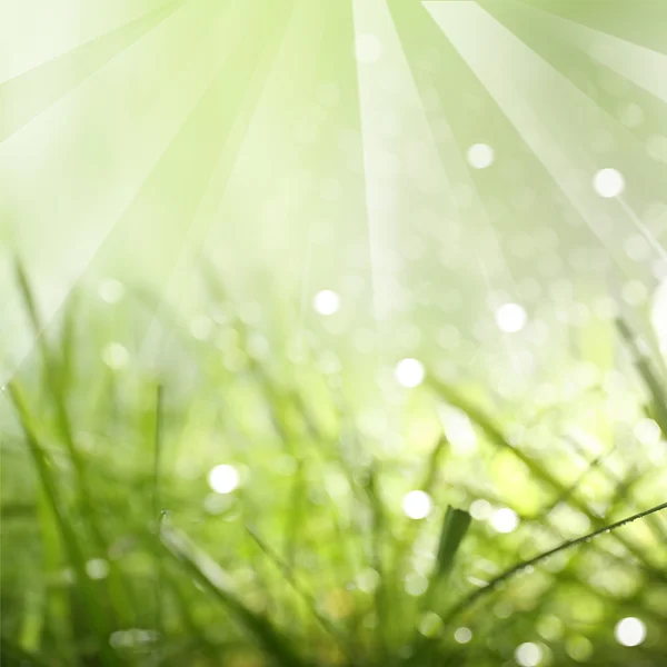 抽象的绿色自然背景与阳光 — 图库照片
