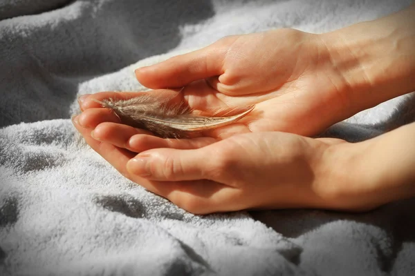 Hands holding a feather — Stock Photo, Image
