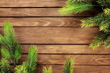 Noel köknar ağacı dalları